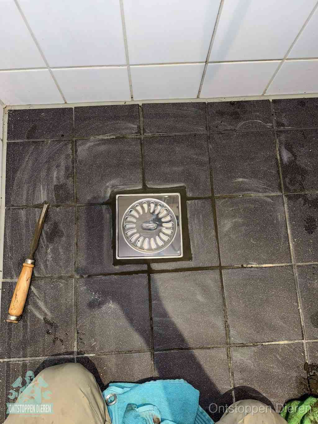Dieren Badkamer Ontstoppen Dieren Badkamer Ontstoppen