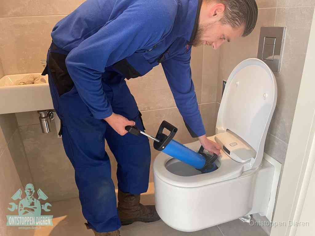 Kosten Wc Verstopt Dieren Kosten Wc Verstopt Dieren