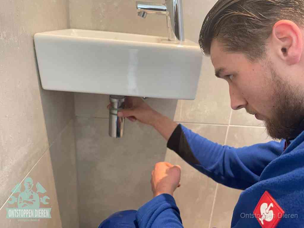 Wasbak Ontstoppen Dieren Wasbak Ontstoppen Dieren